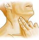 Checking the pulse at the neck